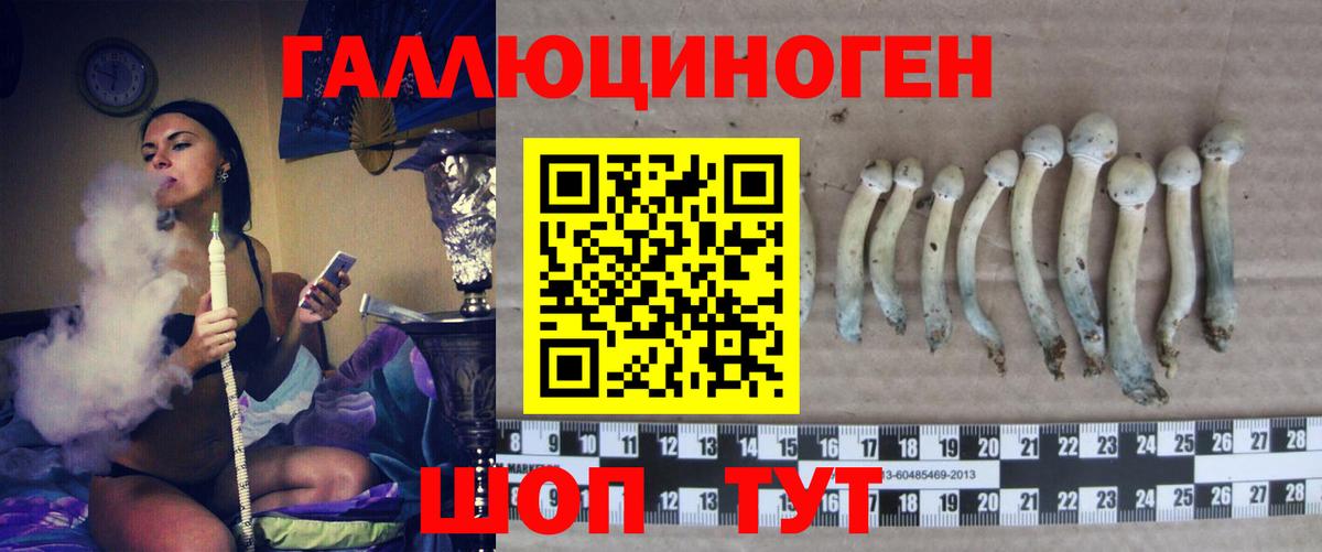 Александров  Псилоцибиновые грибы ЛСД  Галлюциногенные грибы мицелий  Вход с VPN 